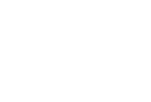 logo seirel blanc